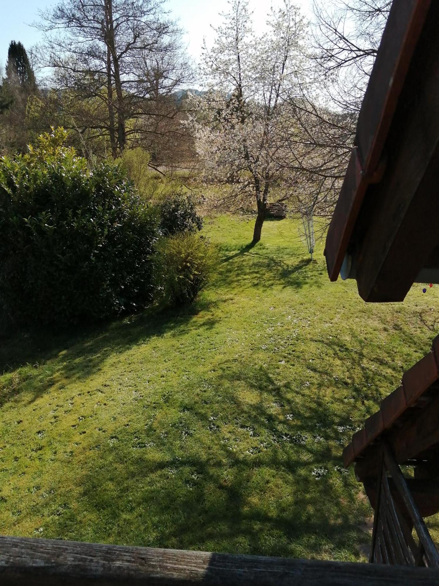 Gite 1 Etage Dambach Exterior foto